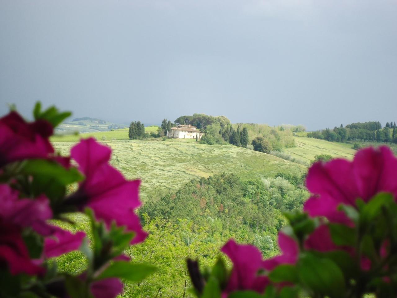 Гостевой дом Borgo Fajani Terricciola Экстерьер фото
